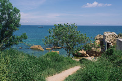 Scenic view of sea against sky