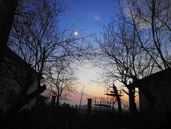 Low angle view of silhouette trees against sky at sunset