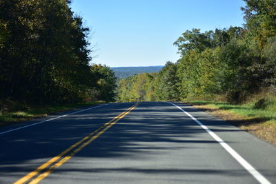 Empty road along trees