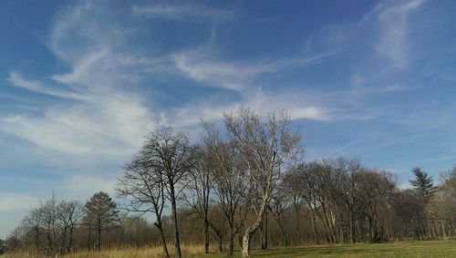 Bare trees on field against cloudy sky