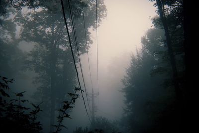 Silhouette trees in forest against sky during rainy season