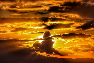 Silhouette of girl during sunset