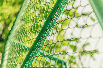 Full frame shot of fresh green leaf