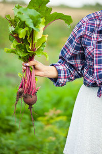 Midsection of person holding apple on plant