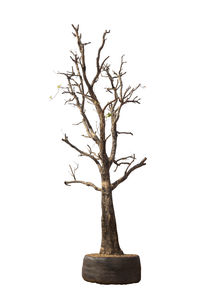 Low angle view of bare tree against white background