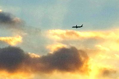 Low angle view of airplane against the sky