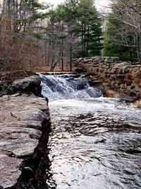 Stream flowing through rocks in forest