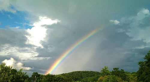 Low angle view of rainbow over trees against sky