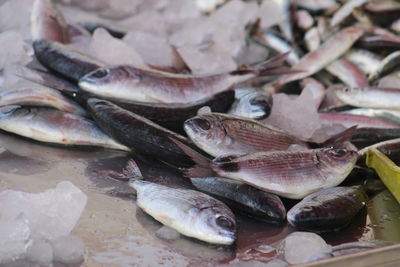 Full frame shot of fish for sale in market