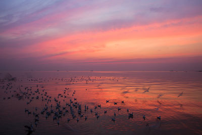 Scenic view of sea against orange sky