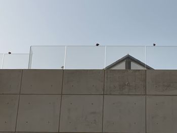 wall