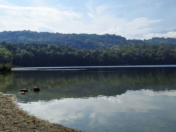 Scenic view of lake by trees against sky