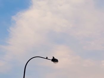 Low angle view of bird perching against sky