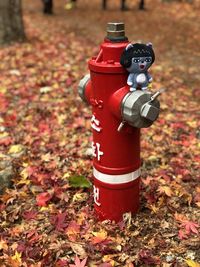 Close-up of fire hydrant on field during autumn