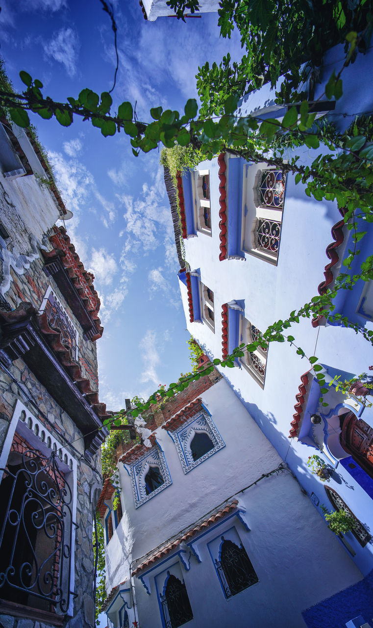 "The Blue City" We travelled from Sevilla to Tarifa, then took a ferry to Tangier, then a taxi to Chefchaouen, Morocco. EyeEmNewHere a new beginning Chefchaouen Morocco Beauty Blue City Blue Medina Building Exterior Built Structure Architecture Building Nature Plant No People Day Tree Outdoors Low Angle View Sky Religion Place Of Worship Belief Spirituality Digital Nomad Communication Text Cloud - Sky Sign