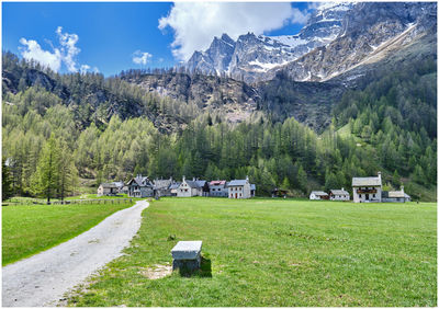 Panoramic view of trees on field against sky