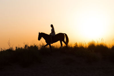 Silhouette riding horse on field against sky during sunset