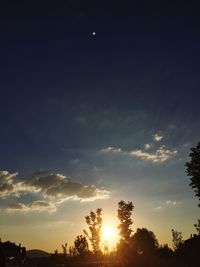 Low angle view of silhouette trees against sky during sunset