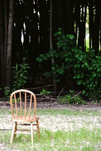 Chair in forest