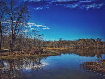 Reflection of bare trees in lake against blue sky