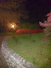 Scenic view of lake against sky at night