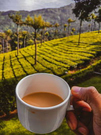 Person holding coffee cup