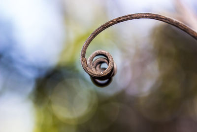 Macro shot of spiral staircase