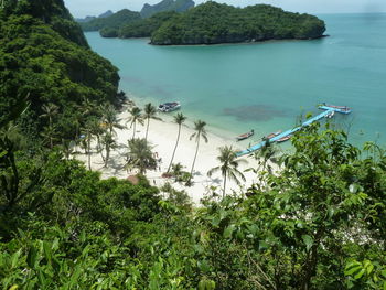 High angle view of bay against trees