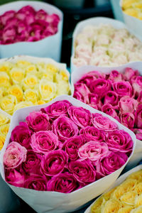 Close-up of rose bouquets for sale