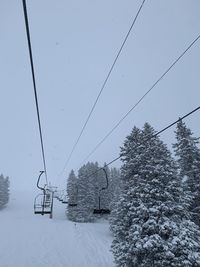 Snow covered plants against sky during winter