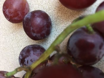 Close-up of fruits