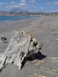 Scenic view of driftwood on beach against sky