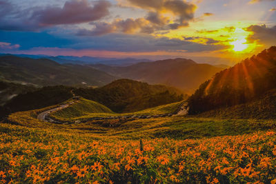 Scenic view of field against sky during sunset