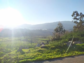 Scenic view of landscape against sky on sunny day