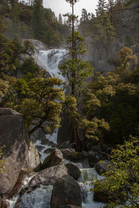 Scenic view of waterfall in forest