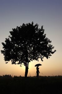 Silhouette man standing by tree on field against sky at sunset