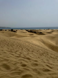 land
