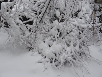 Close-up of white surface