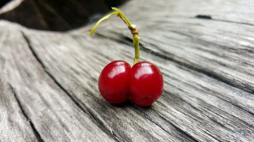 Close-up of sour cherry on wood