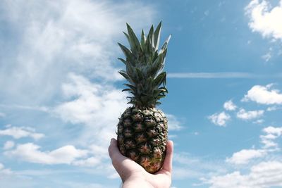 Close-up of hand holding fruit against sky