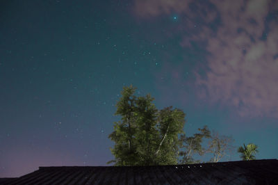 Low angle view of tree and building against sky at night