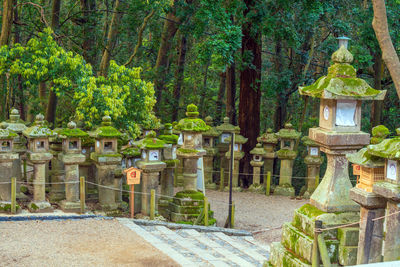 View of buddha statue against trees