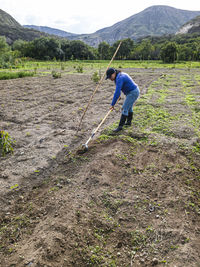 Rear view of man standing on field