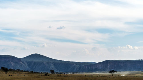 Scenic view of landscape against sky