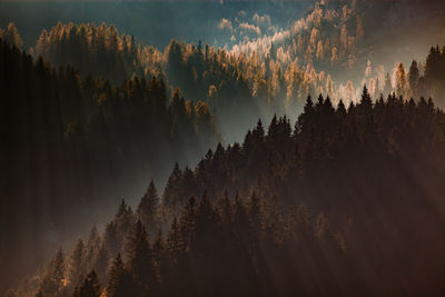 Panoramic view of silhouette trees against sky during sunset