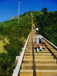 People on steps amidst trees against clear sky