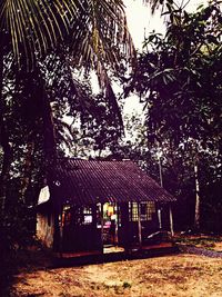 Built structure with trees in background