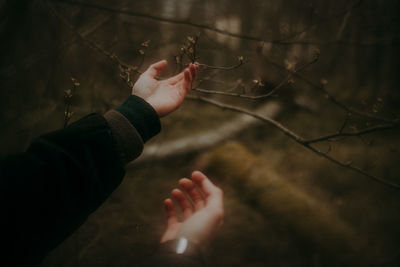 Close-up of hand holding plant