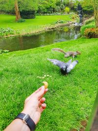 Cropped image of hand feeding bird in lake