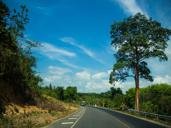 Road by trees against sky